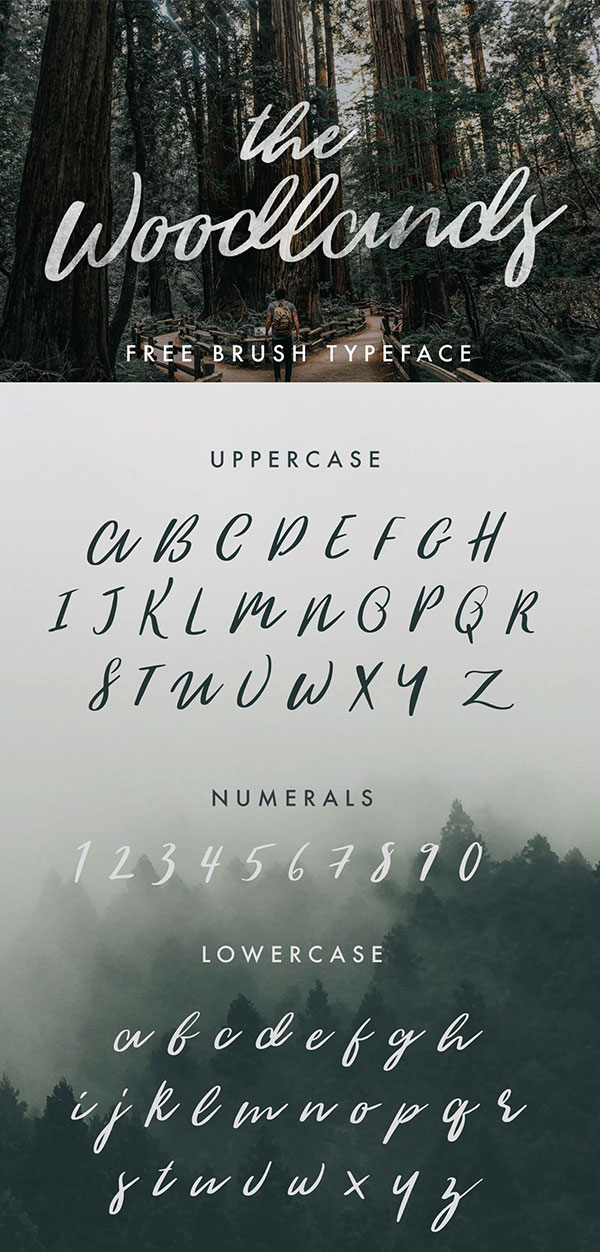 The Woodlands free fonts for designers
