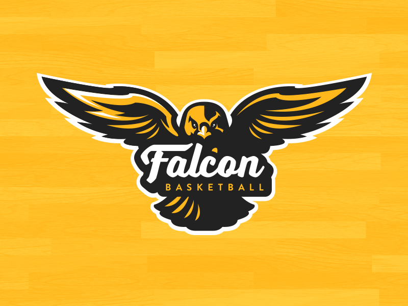 sports logo falcon basketball