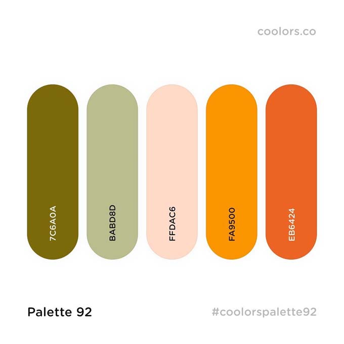 color palette ideas 4