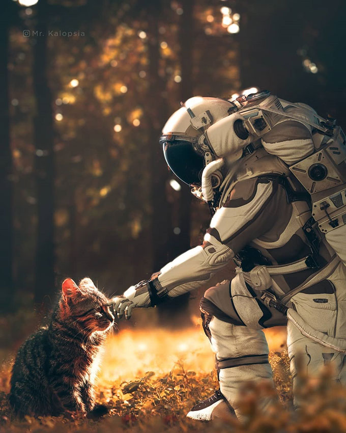 astronaut and cat