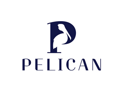 Pelican by Dmitry Litvinenko