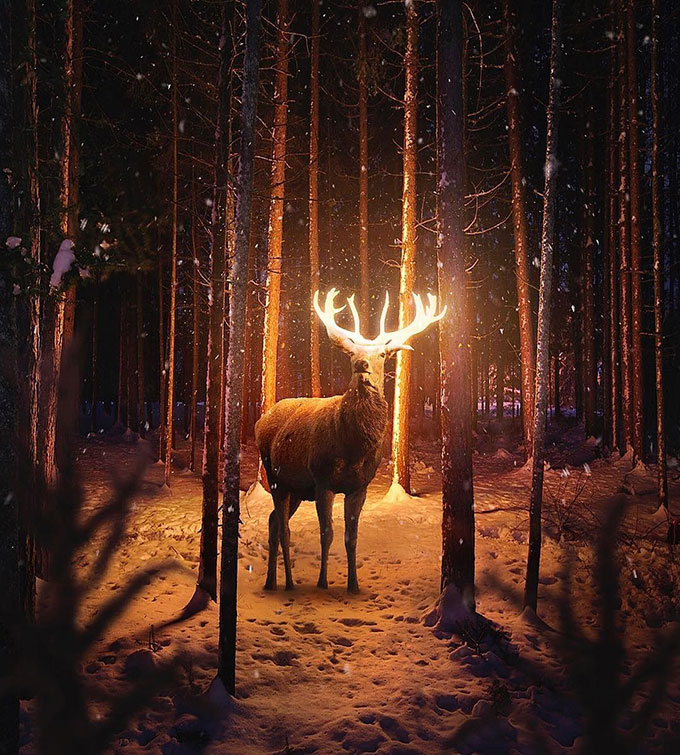 Glowing horn of deer in forest photoshop glow effect