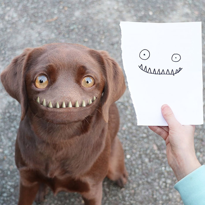 dog without nose Photoshop kids drawings