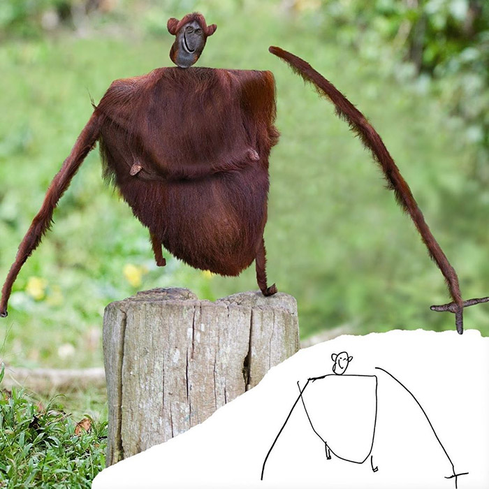 hilarious monkey Photoshop