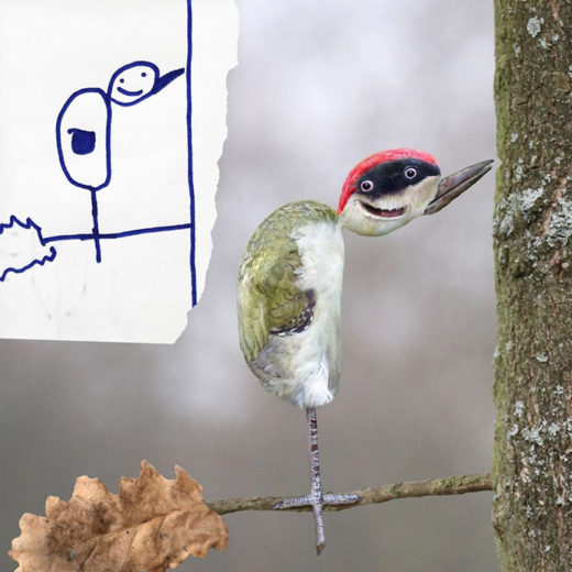 Kids' Drawings Brought to Life: Bizarre & Hilarious Result