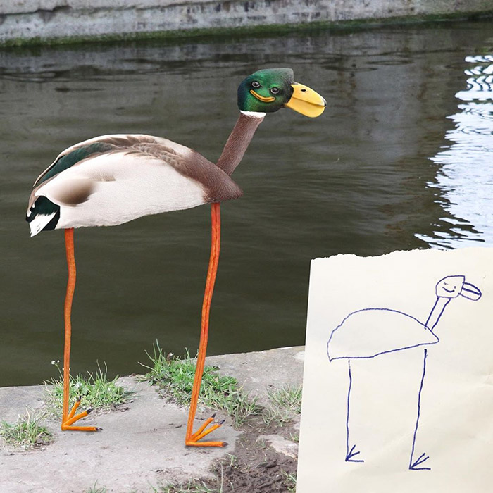funny face duck with long legs Photoshop