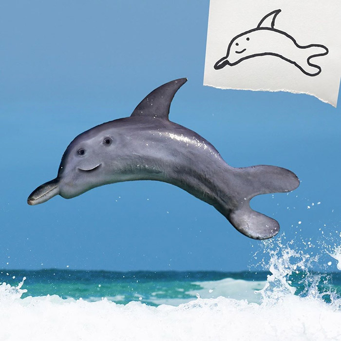 dolphin Photoshop kids drawings