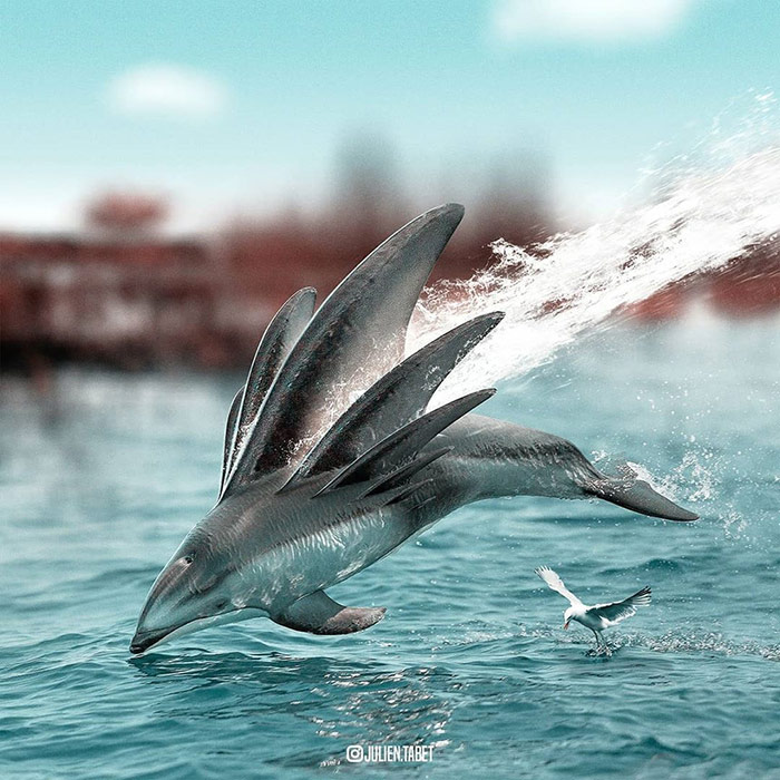 Dolphin - animal photoshop
