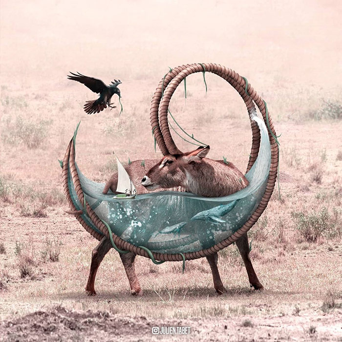 Surreal Animal Photoshop Manipulation by Julien Tabet | Design with Red