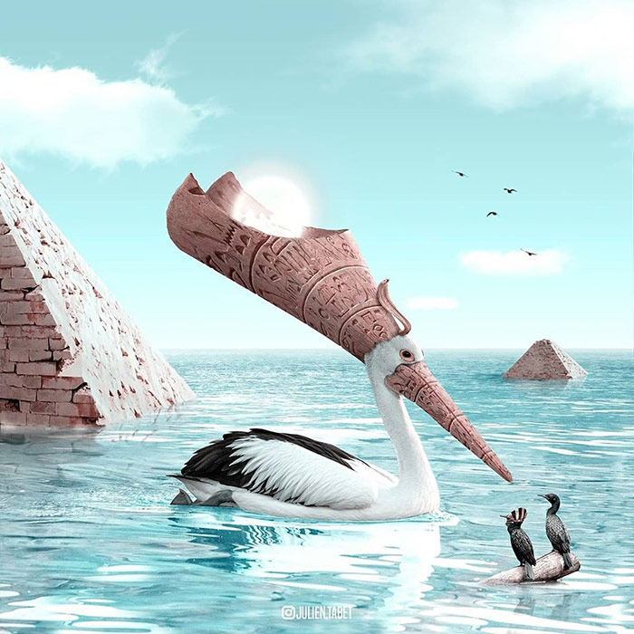 Pelican - animal photoshop