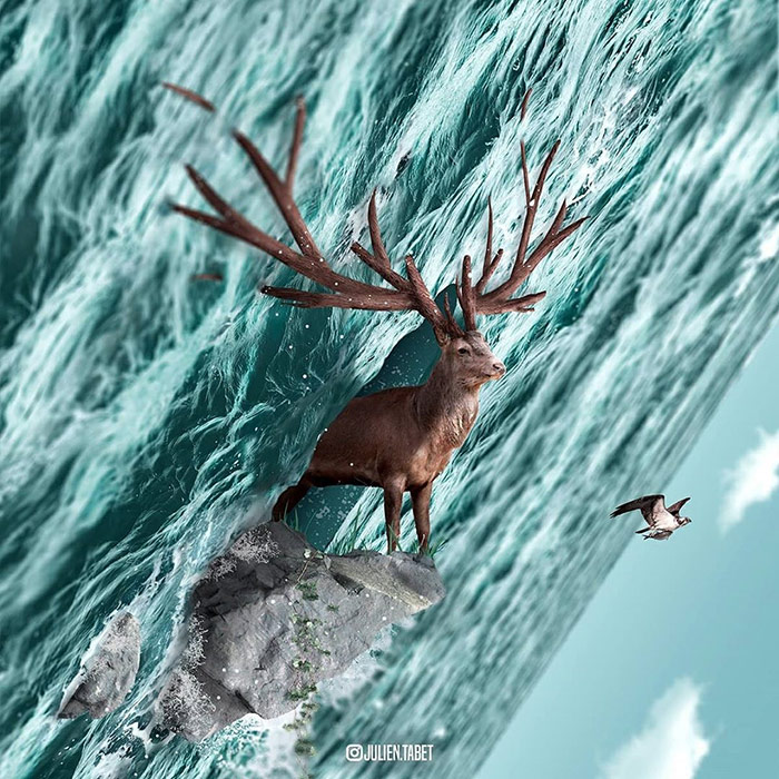 Elk - animal photoshop