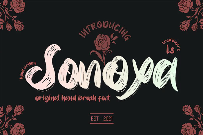 30 Aesthetic Brush Stroke Fonts for Designers