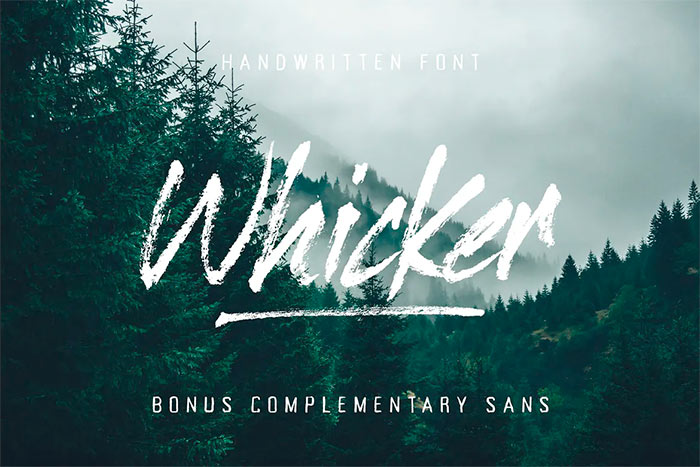 Whicker Brush Script Font Duo