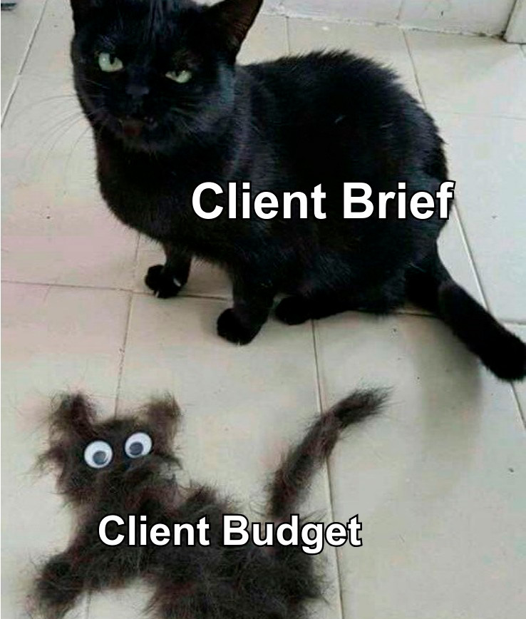 client brief and client budget meme